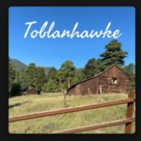 Toblanhawke icon 2